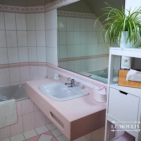 Le Moulin De Meral Montsurs